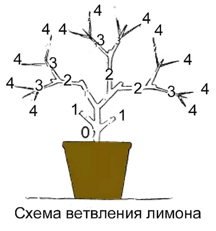 Взято с просторов интернета