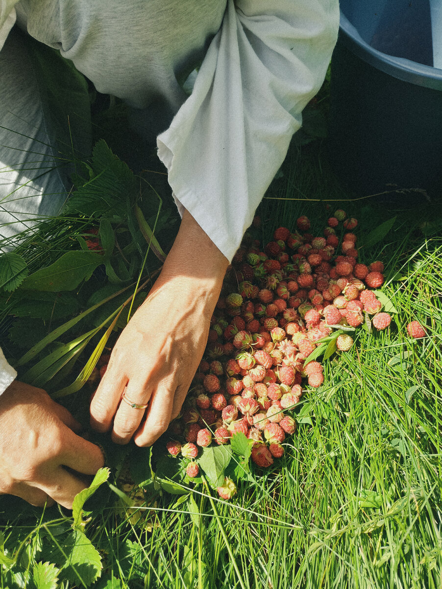 Конечно же собака опрокинула ведро 