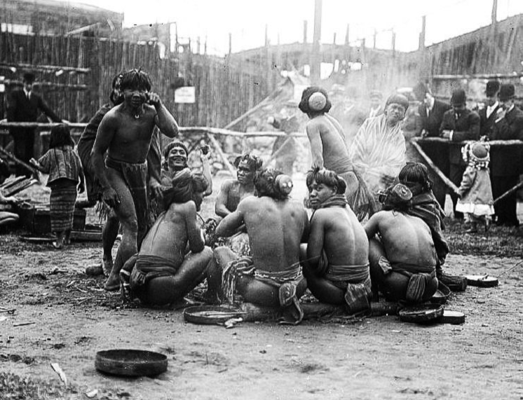 Экспонаты человеческого зоопарка