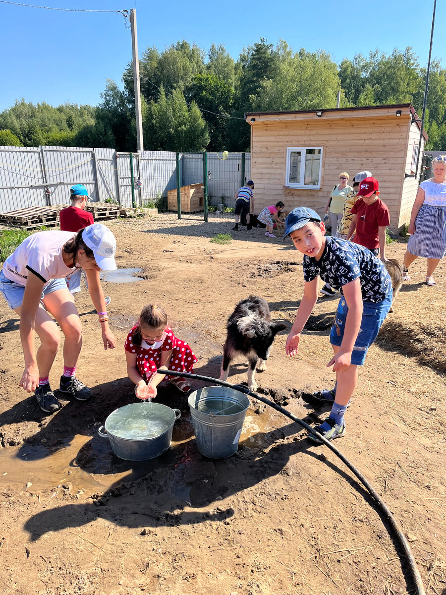 К нам приезжали детки из детского дома | Приют для бездомных животных  