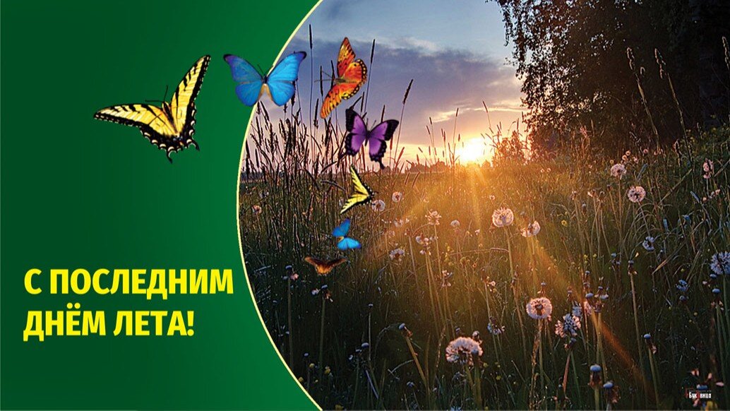Картинки августа