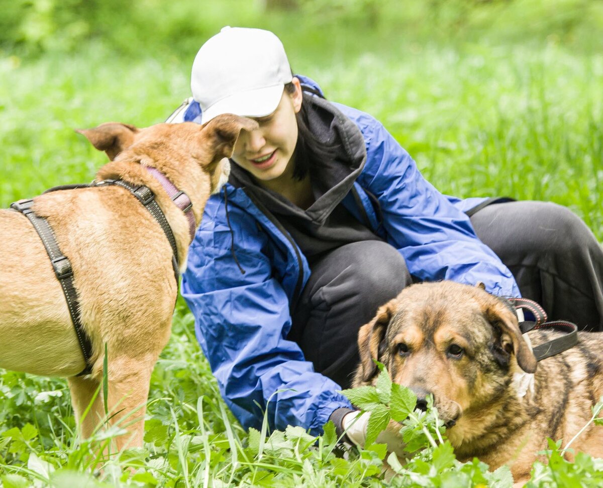 Знакомясь в приюте с новыми волонтерами, собаки в первую очередь их обнюхивают.