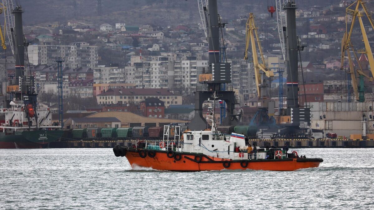    Катер в новороссийском морском торговом порту© РИА Новости / Виталий Тимкив