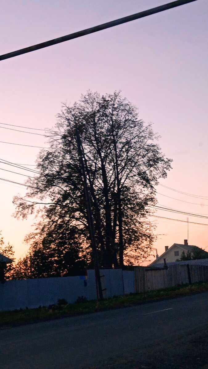 Фото автора.