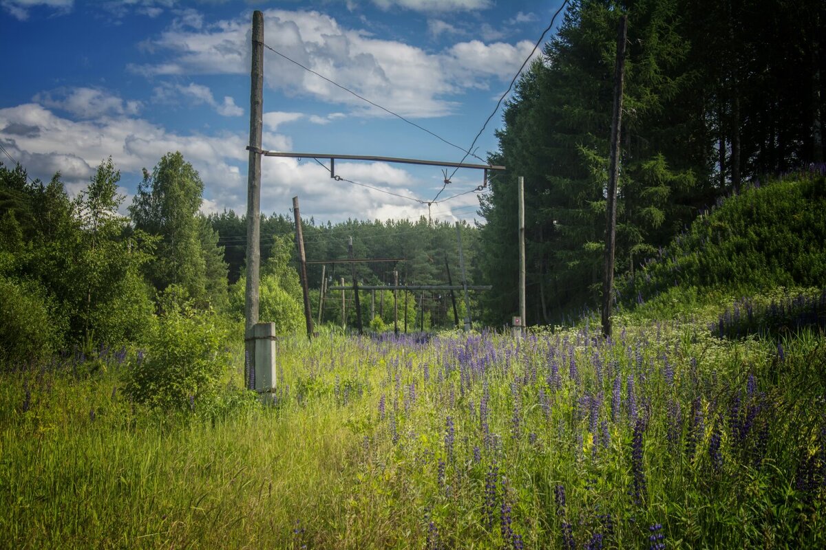 Фото автора канала.