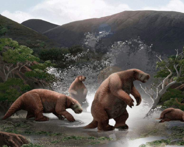 Реконструкция древнего ленивца...иллюстрация с сайта https://www.siliconrepublic.com/innovation/south-american-yeti-ecuador и Яндекс-Картинки