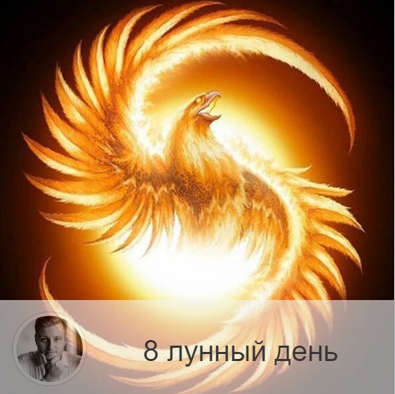 8-ой лунный день с 12:30 28-ого по 13:57 29-ого. 🔆 Время усвоения энергии и информации.
🐤 Символ дня – птица феникс.
🎂 Люди, рождённые в этот лунный день, оригинальны, прирожденные артисты, способны к перерождению.
💍 Камень – хризолит.
🌞 8-ые лунные сутки, связанные с Мафусаилом и благоприятны для поездок, путешествий и переездов. Символы дня — Птица Феникс и ларец с сокровищами. Это период покаяния, исповеди, очищения души и освобождения от груза грехов прошлого. Представьте, как весь негатив и печальный опыт, накопленный вами за жизнь, сгорает в пламени пожара — можно провести символический ритуал с использованием огня. Полезно голодание или ограничение в пище — это поможет очистить не только тело, но и душу. Успешны все дела, связанные с самопожертвованием.
✅ Рекомендуемые практики: покаяние, приготовление лекарства, чистка желудка.
В этот лунный день хорошо каяться, исповедаться, причащаться. Можно готовить лекарства, травяные смеси. так как они будут обладать максимальным эффектом. Необходимо есть только лёгкую пищу, злаки, рыбу, хорошо сегодня чистить желудок.
❌Запрещено: игра с огнём.
Не рекомендуется проводить практики с огнём. Сегодня с ним надо быть осторожнее, так как он может выйти из-под контроля.
⭕️ Уязвимые органы: желудок, нервная система.
С 8-ым лунным днём связан желудок и периферийная нервная система. При неправильном использовании энергий дня могут появиться желудочный колики, внутренняя дрожь, могут гореть уши.
💤 Сны вещие, им можно доверять. Вы можете увидеть свое предназначение в жизни, дело, которым следует заниматься.

—————
🔭 Узнай своё будущее → numeromagic.ru/uslugi