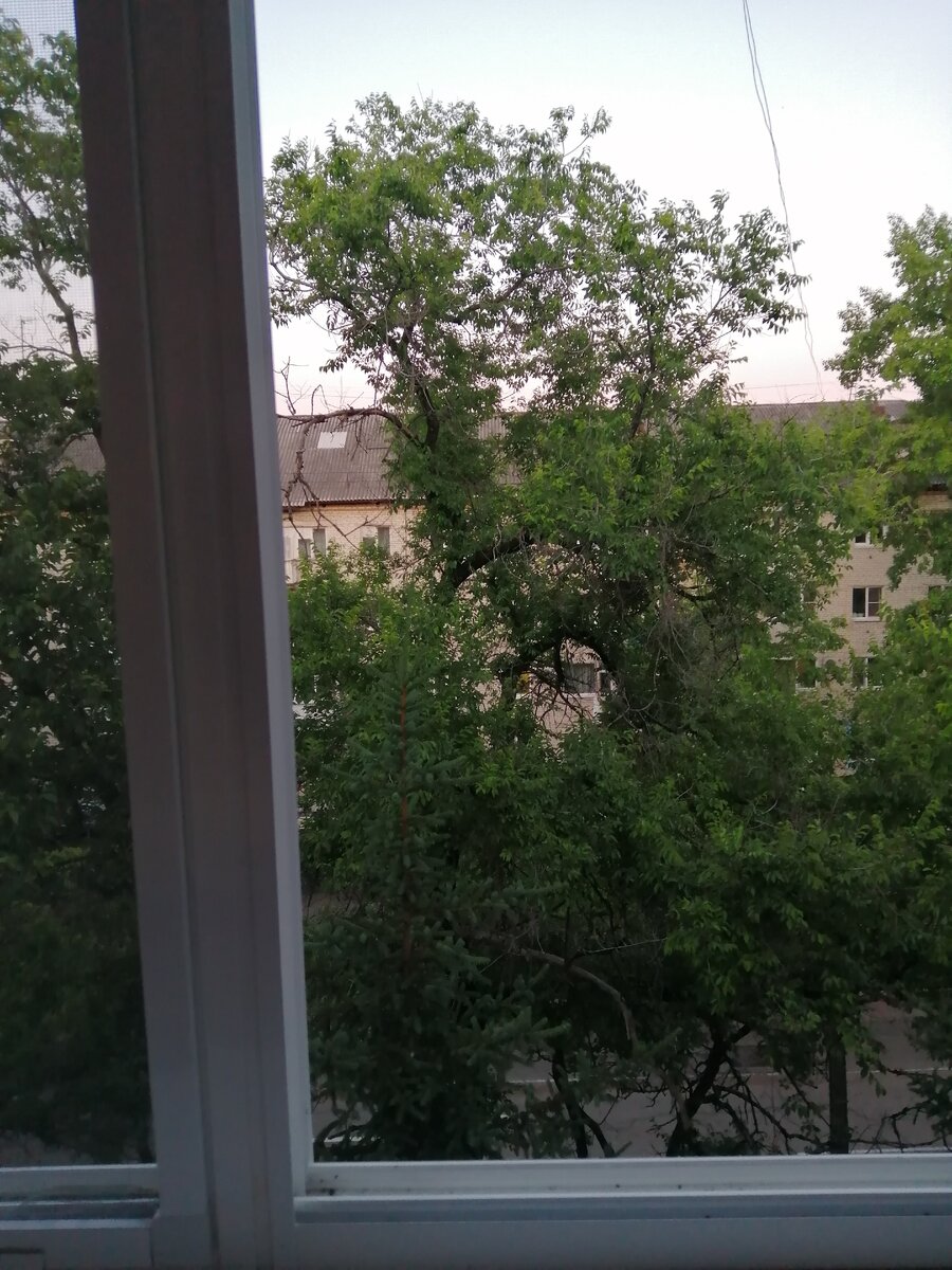 нет у меня больше фоток только такие 