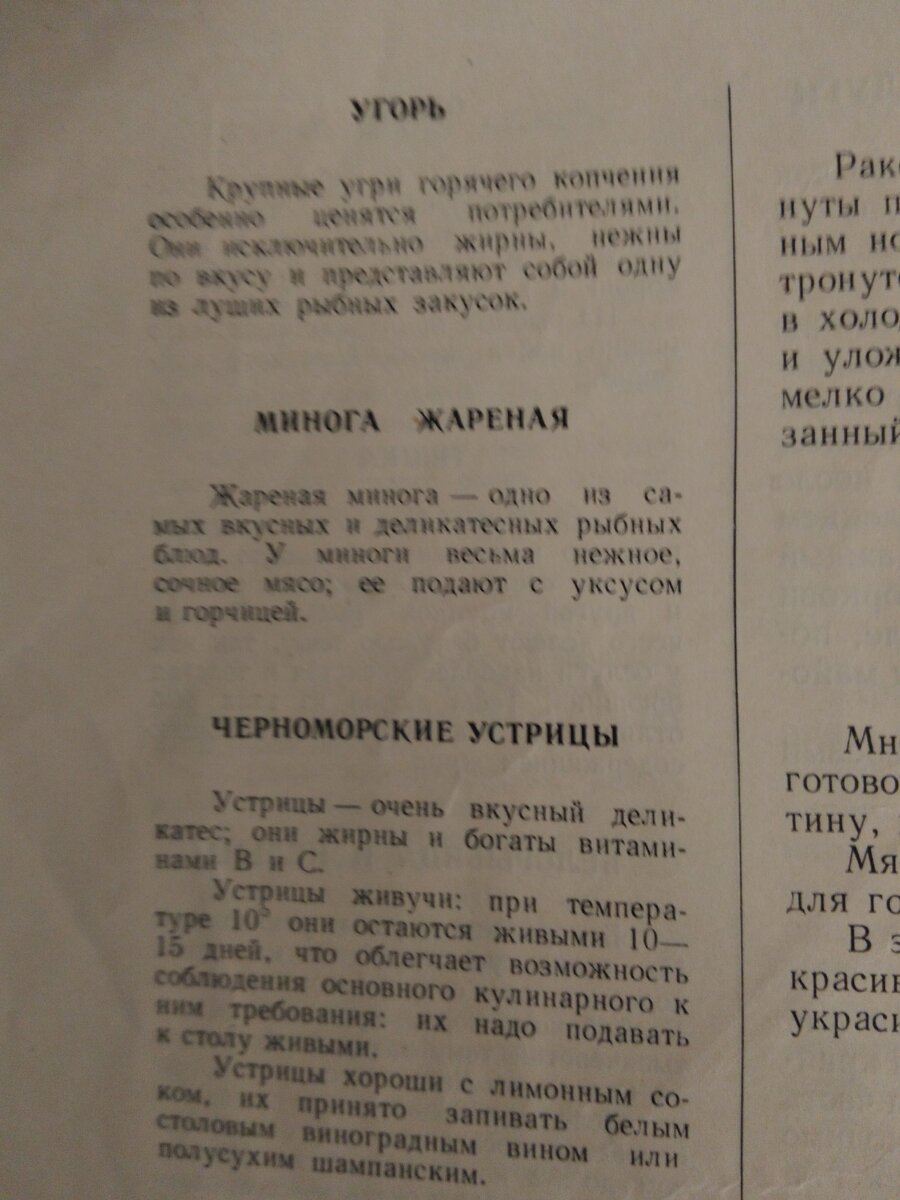 Из личного архива. 61 год. Миноги, угри, устрицы
