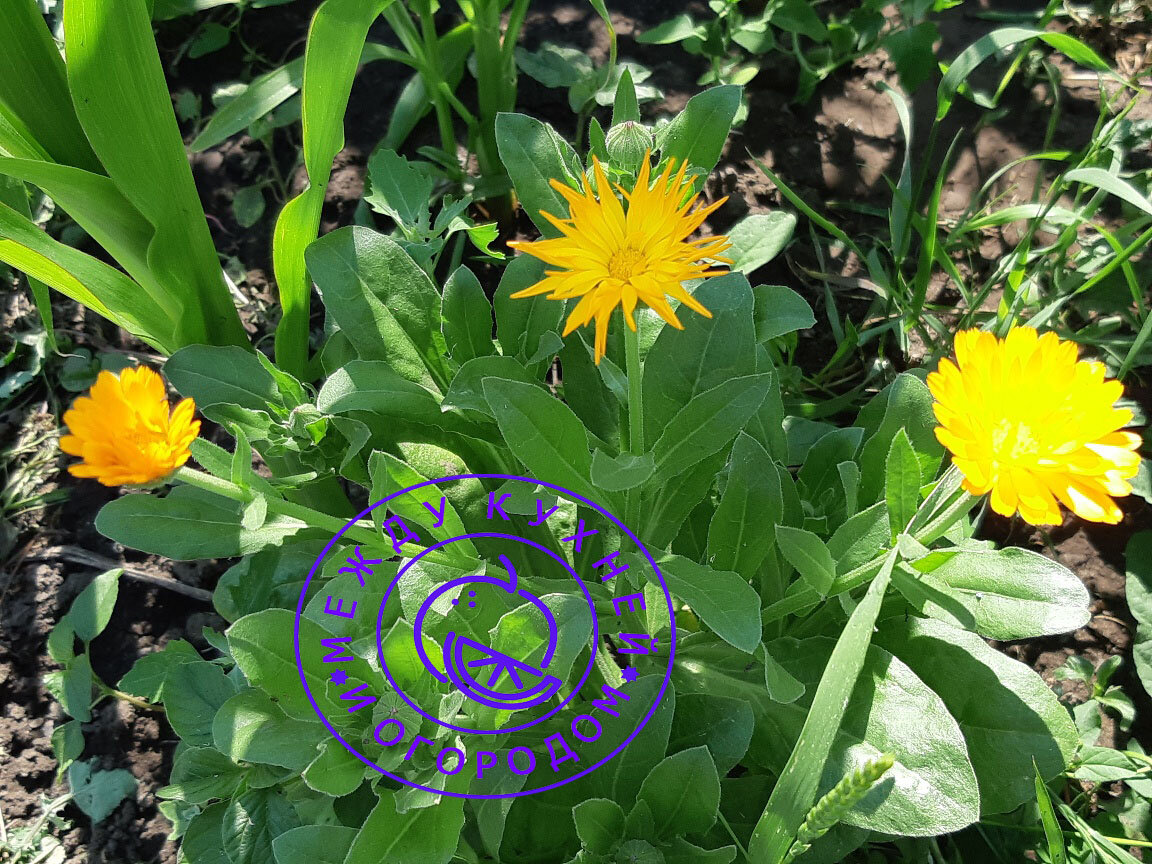 Не забудьте поставить лайк и подписаться на канал!