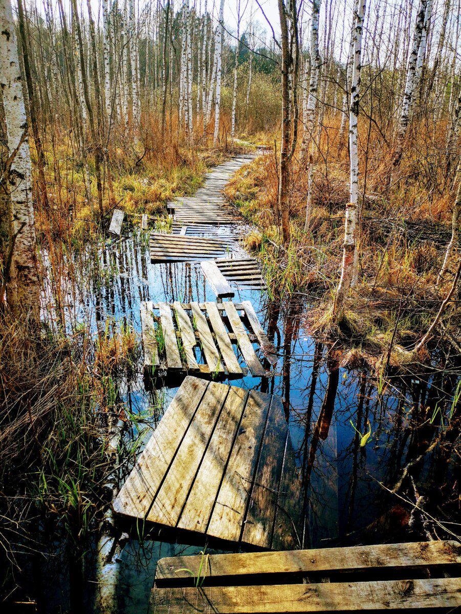 Прокладываем путь к фрилансу