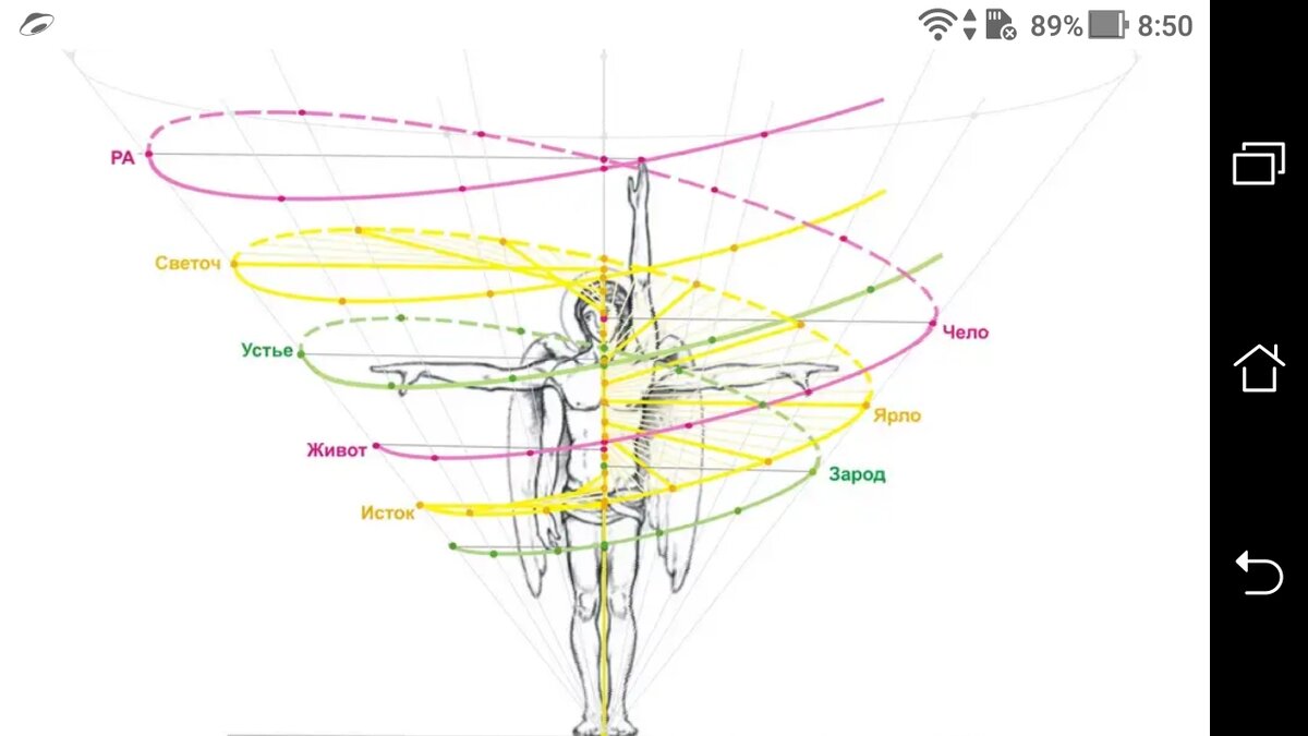 фото Изнанка и наружная стороны измерениях в мерности 3D и 4D