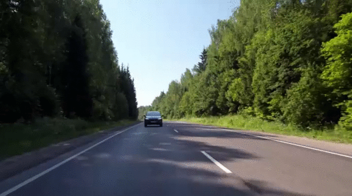 Новый Skoda Rapid. Лиса Рулит