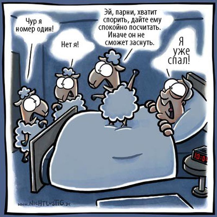 Как правильно считать овец: советы и рекомендации