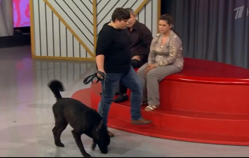 первый канал "мужское-женское"