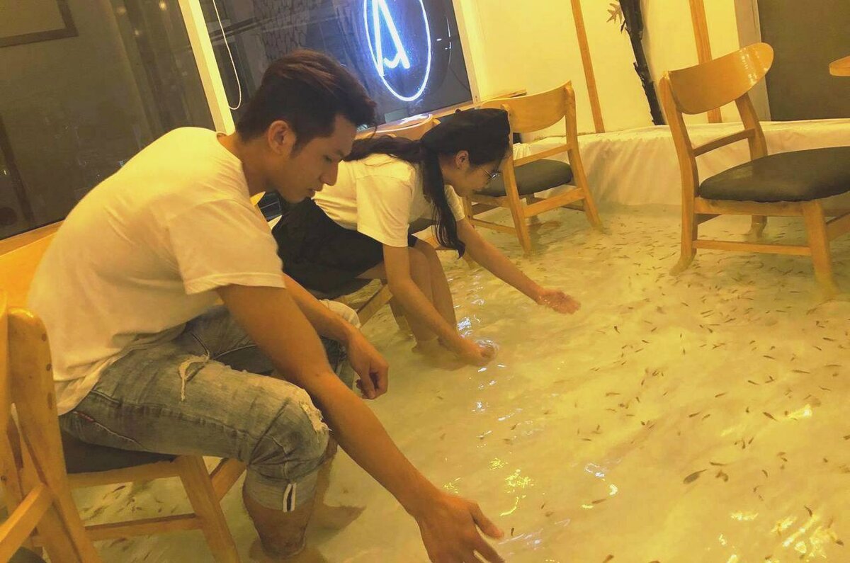 кафе с рыбками на полу во вьетнаме. уникальное кафе где на полу плавают рыбы. ресторан с рыбками на полу. кафе с рыбками на полу во вьетнаме. кафе amix coffee во вьетнаме.