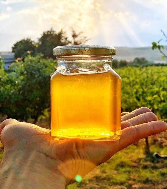 Полезные свойства и противопоказания мёда из кандыка
