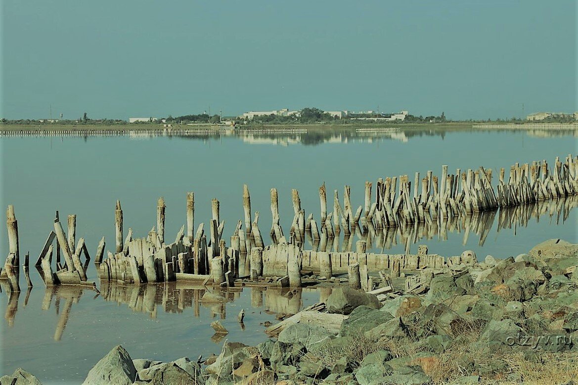 Сакское озеро в крыму фото
