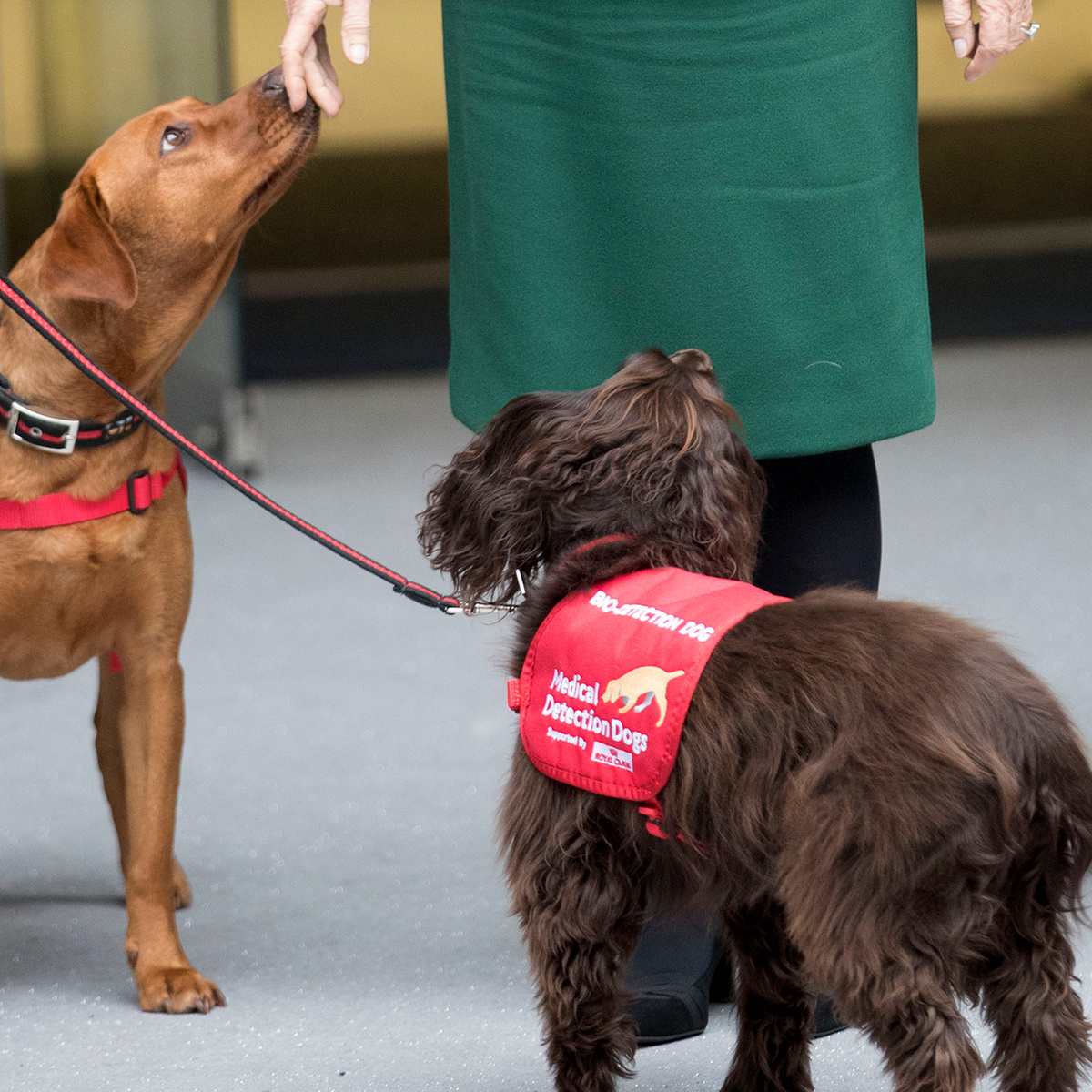 Фото с сайта lenta.ru