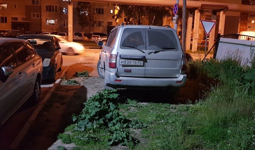 Фото: Сахалин.онлайн