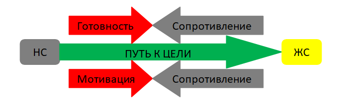 Модель НС-ЖС