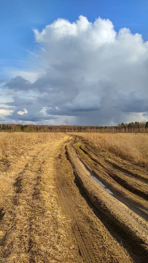 На велосипеде по деревенской дороге 