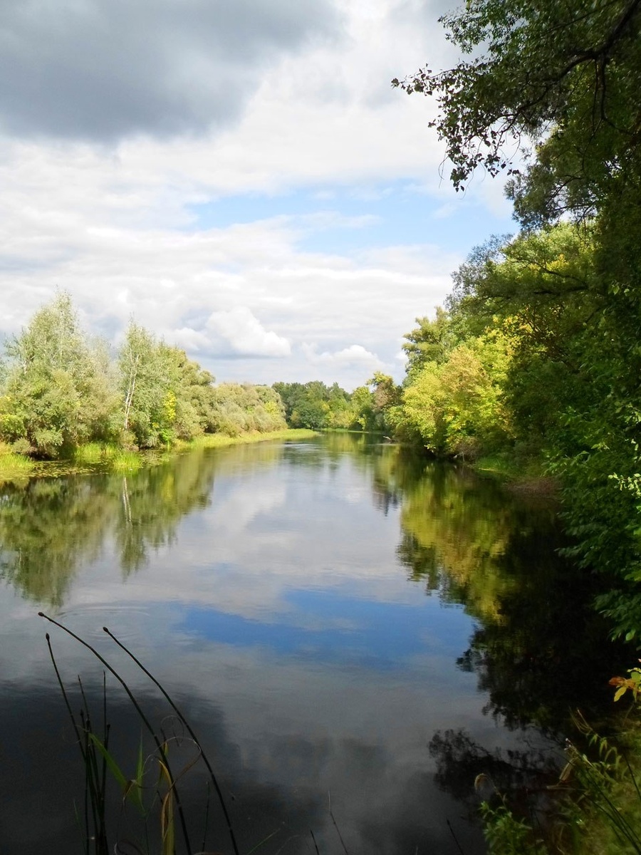 Река Сейм у самой границы (весна)