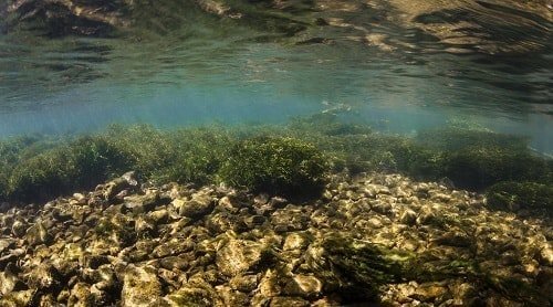 Совет 1. Выберите перспективное место Если подготовка будет успешной, то ответ на вопрос, как поймать рыбу на водоеме, упрощается. Главная составляющая успеха – поиск перспективного места: Зная, какую рыбу мы планируем ловить, определяемся с точкой ловли. Если нужна мирная рыба – то лучше всего подойдет тихая, достаточно глубокая заводь или плес, на дне которого расположен выход глины. Хищника можно искать либо на течении, либо прибрежных омутах, либо возле зарослей подводной растительности.  Используя удочку или эхолот (он повысить точность измерений и сэкономит время) обследуем дно перспективной точки. Если на дне есть ямы или возвышенности, заросшие участки, коряги или валуны – шанс на регулярные поклевки повышается!
Также к перспективным местам можно отнести:  
Дамбы и участки возле них. 
Перекаты (на входе и на выходе можно ловить хищников, которые любят чистую воду). 
Омуты под крутым берегом. 
Заливы и запруды (в них часто стоят крупные караси, лини и карпы). 
Как правило, в таких местах можно найти остатки старых рыбачьих стоянок. А если кто-то там ловил рыбу – то сможете поймать и вы!  