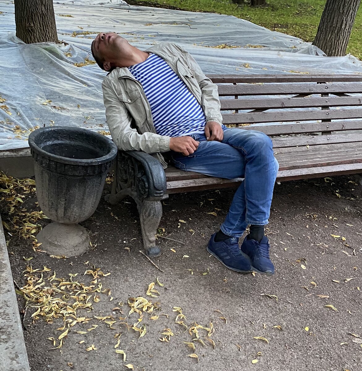 Коллектор на обеде 