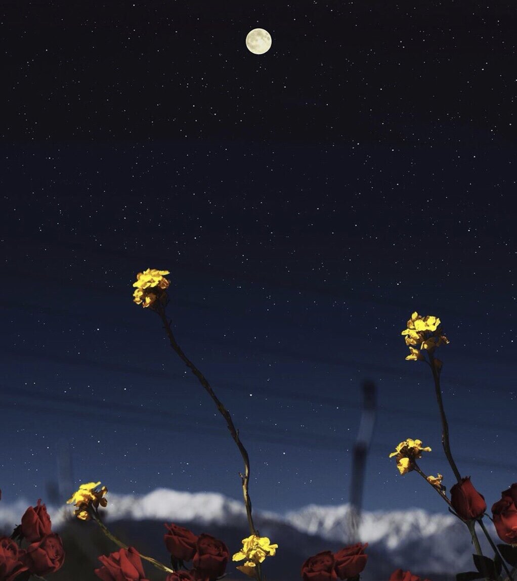 Загадки в темноте.