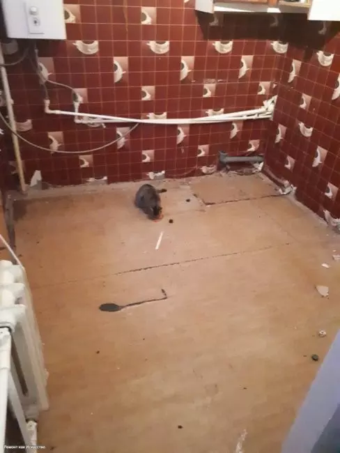 Источник фото: modernplace