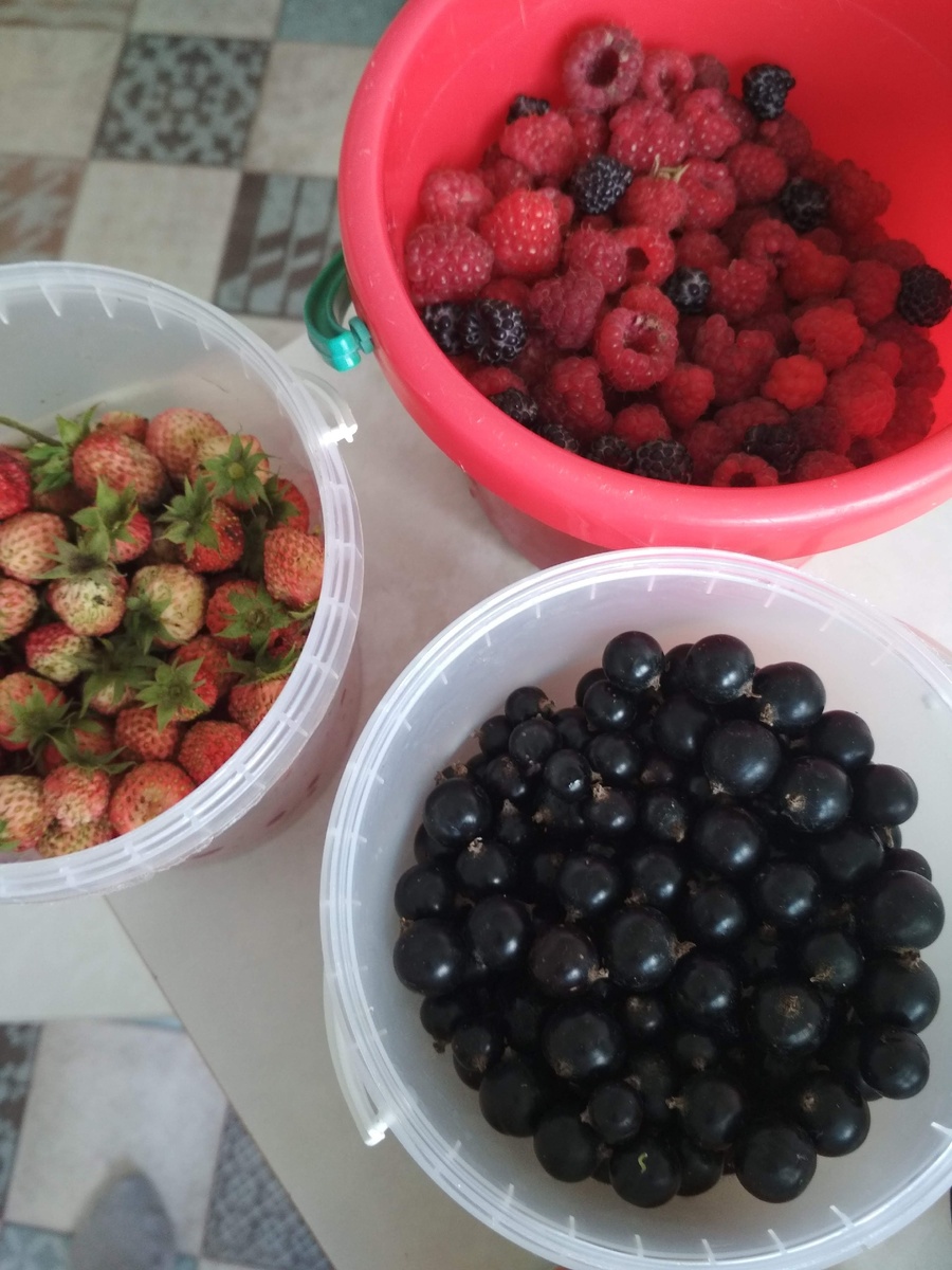 Лето яркого цвета! 