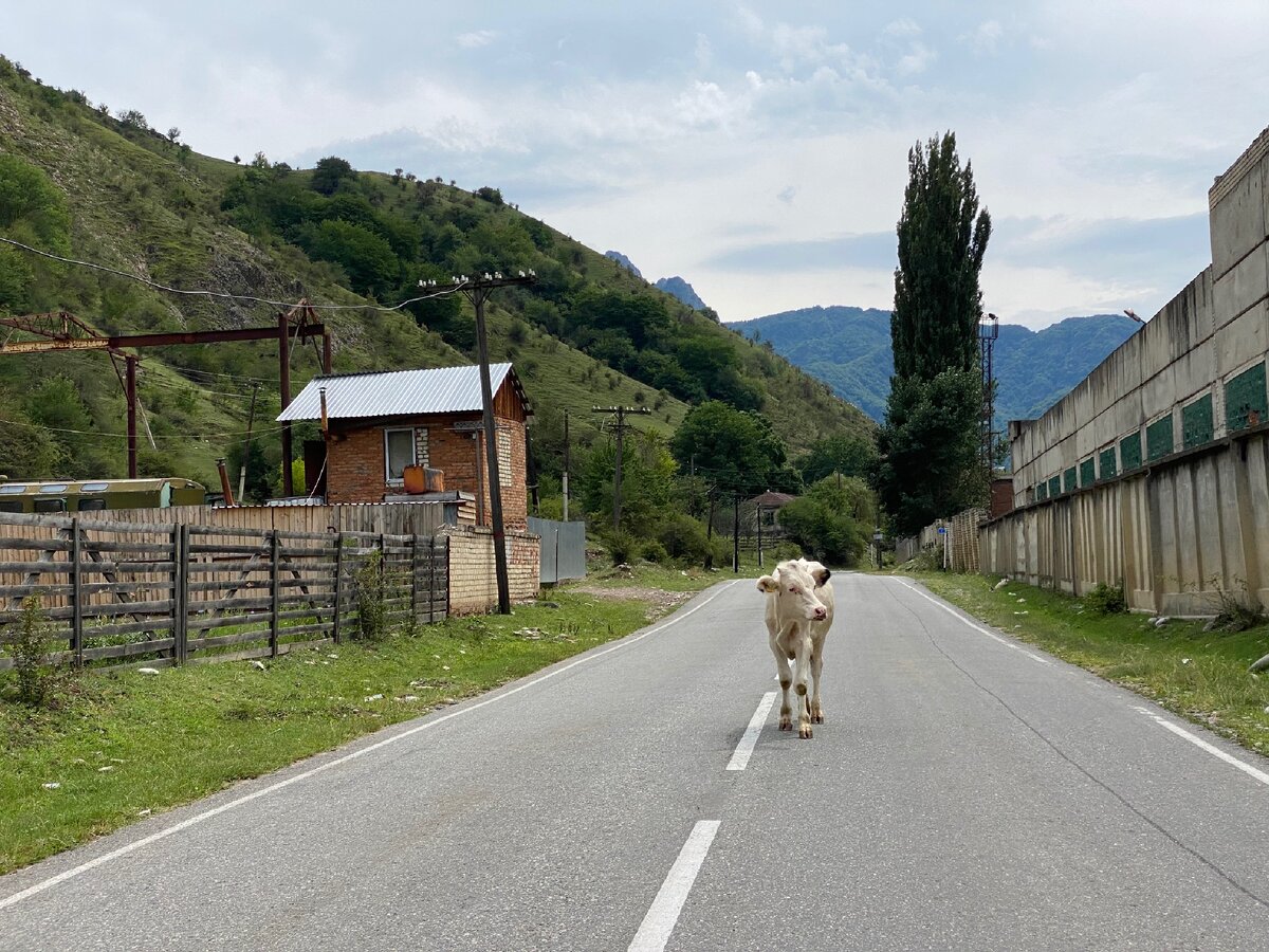 Карачай город. Карачаево деревня