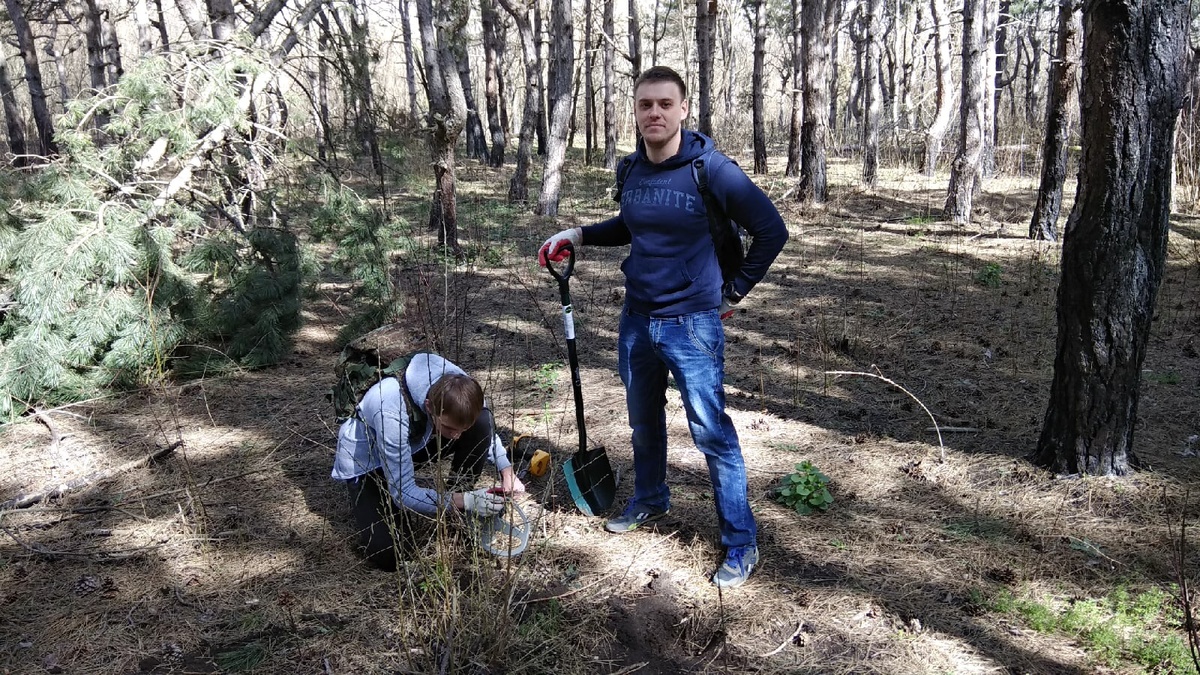 В поисках клада