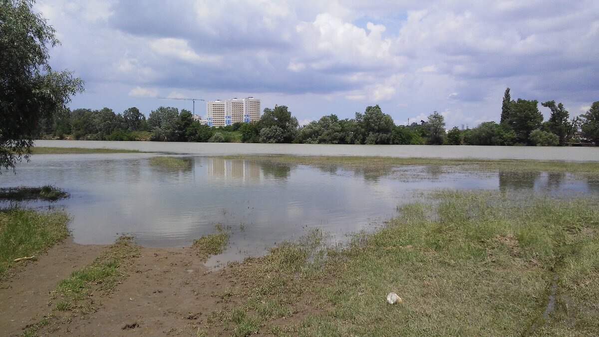 Так Кубань разливается весной, когда спускают воду с водохранилища. Фото автора