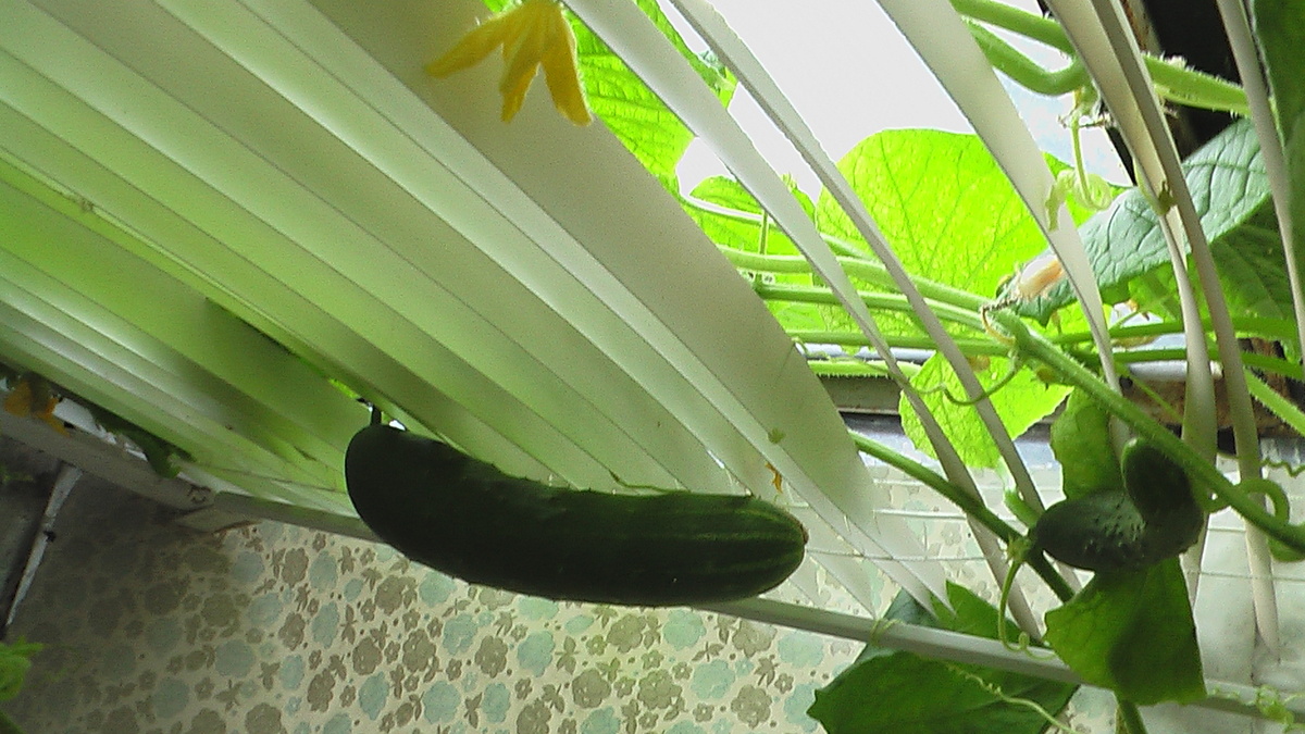 Фото из личного архива.