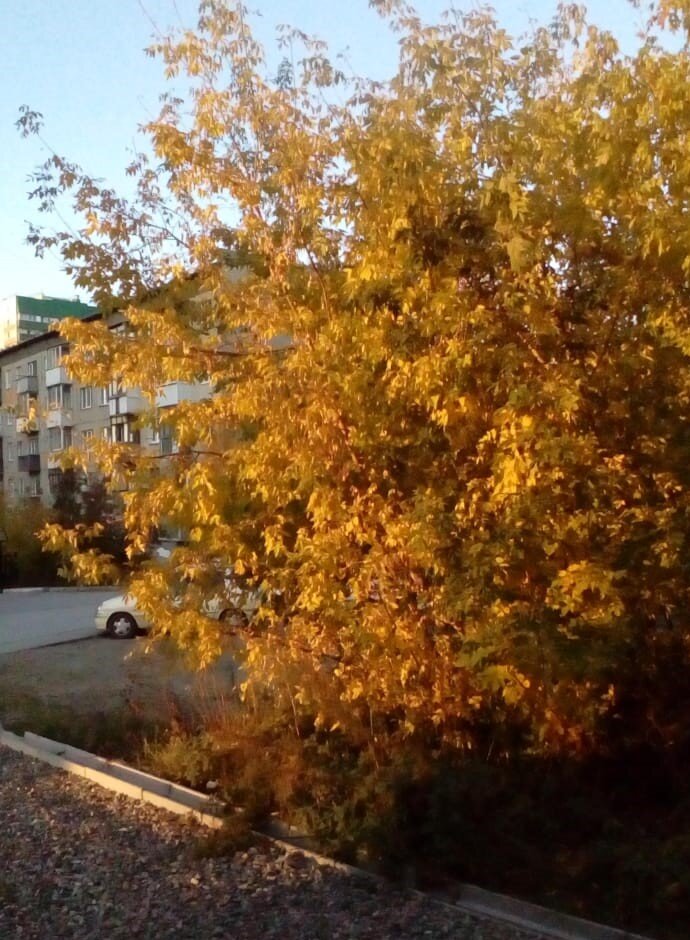 Фото автора))