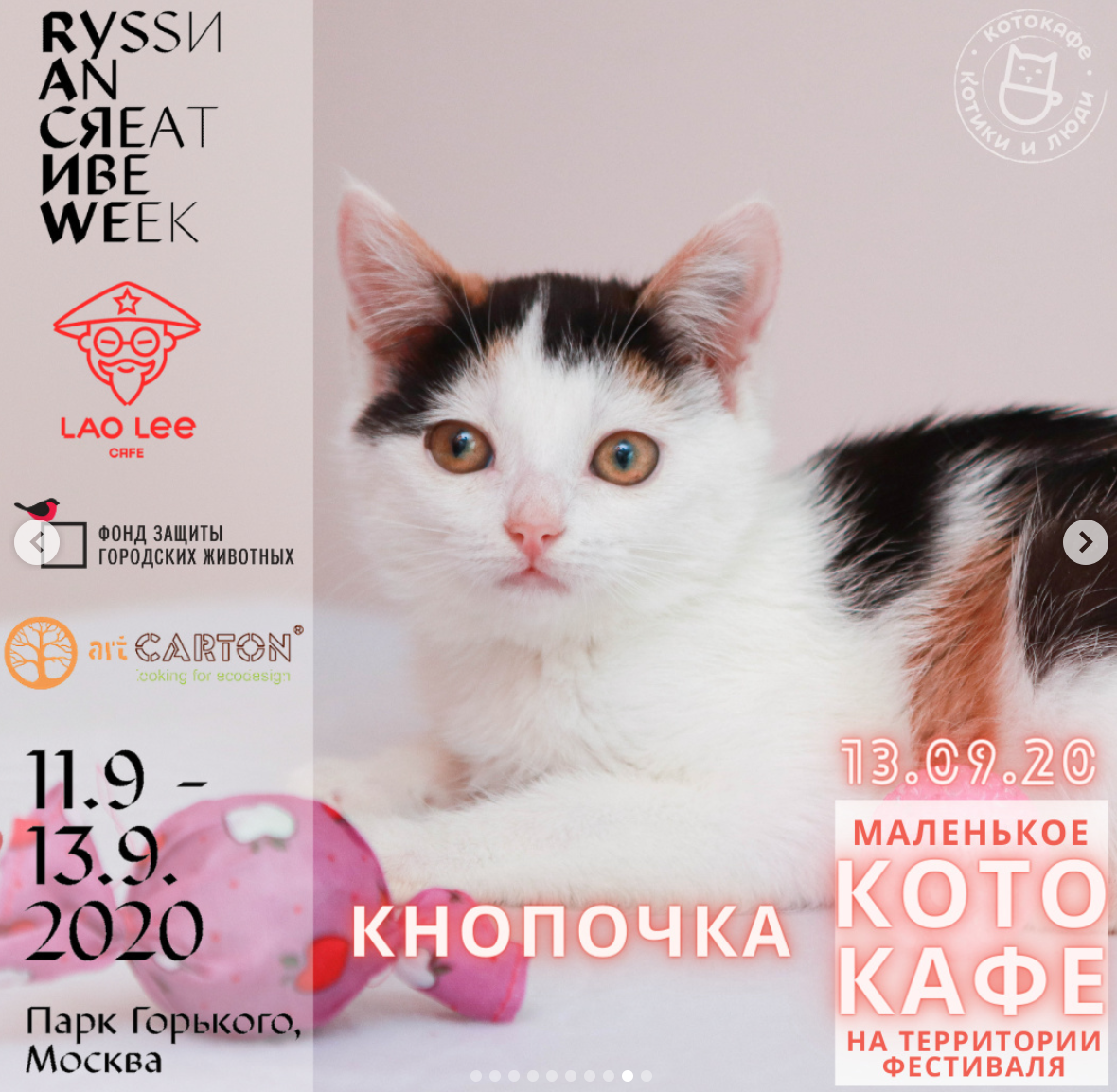 13 сентября прошла выставка котиков лейкозников в Парке Горького в Москве. Но в итоге дом не нашел НИКТО... 