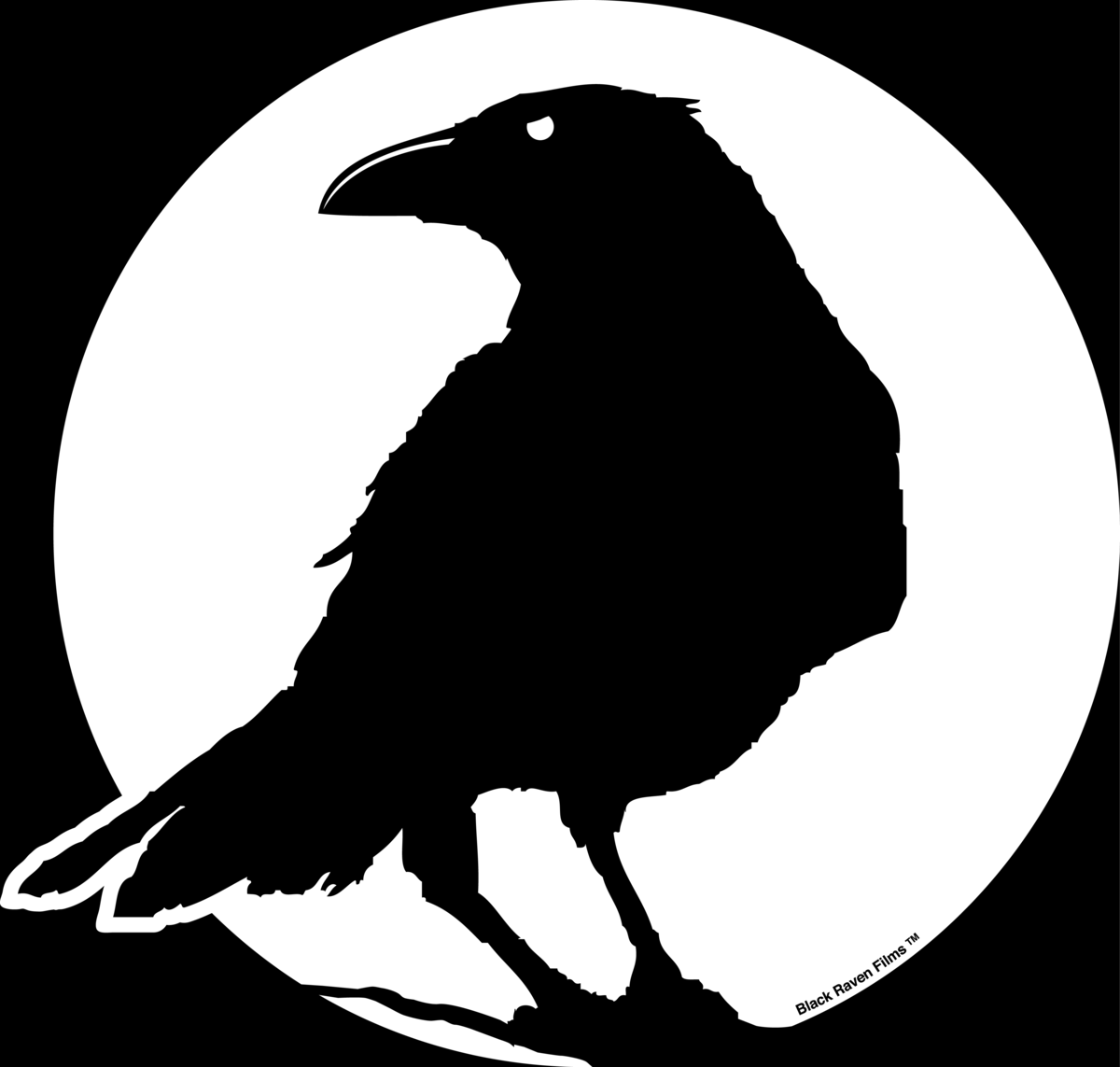 Crow logo. Символ ворона. Силуэт ворона. Ворон символ. Ворон силуэт.