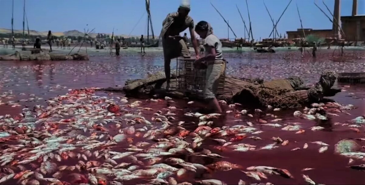 Кадр из фильма "Исход: Цари и боги" 2014 года