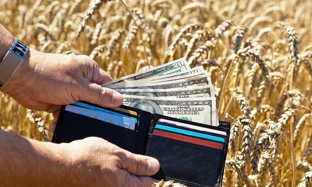 Денежный фермер. Субсидии сельское хозяйство. Гранты сельское хозяйство. Денежный фермер. Фермер деньги.