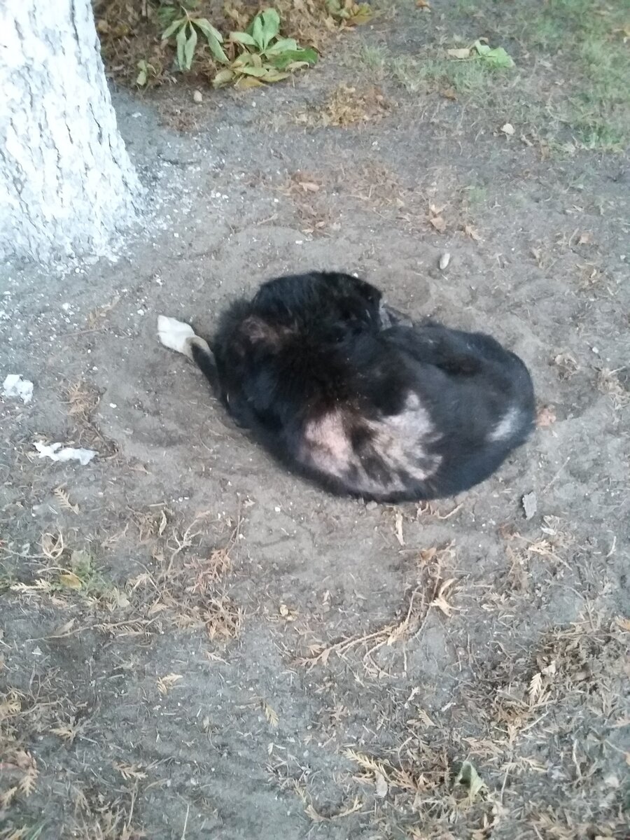 Я только только его увидела...