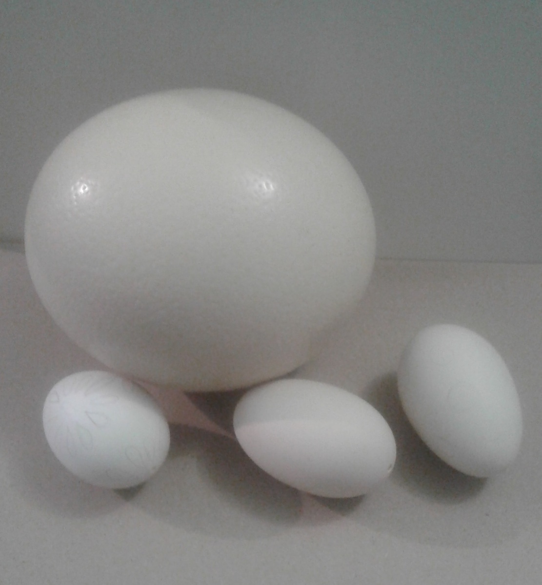 Страусиное яйцо