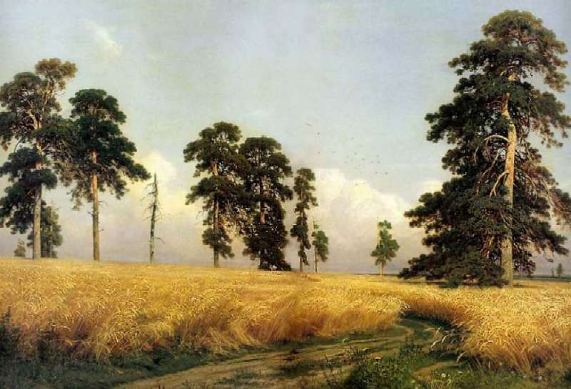 Рожь / И.И. Шишкин