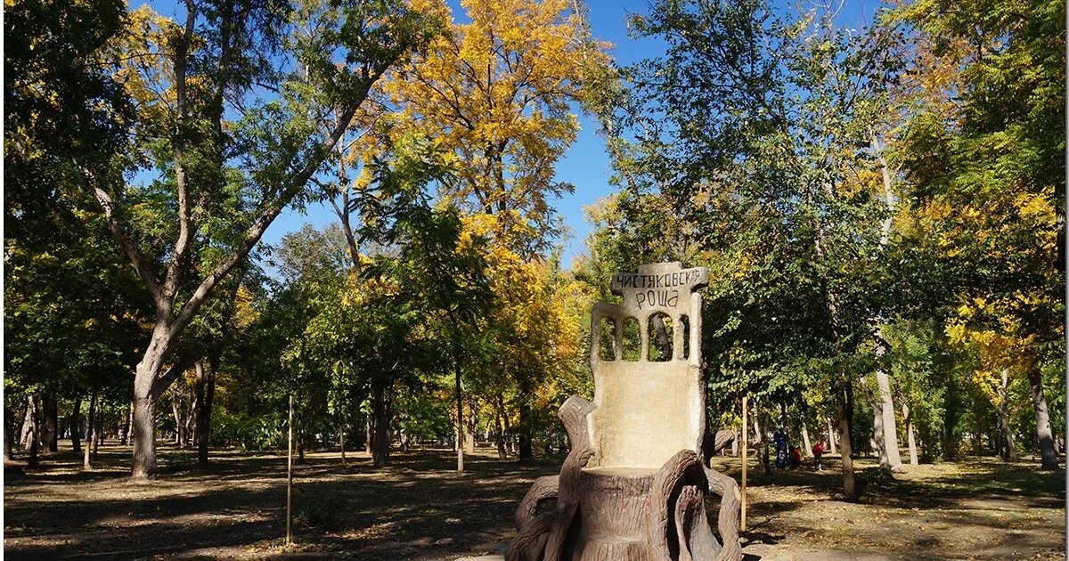 Роща в краснодаре фото Осень в Краснодаре. Что стоит посмотреть. US-Travel Дзен