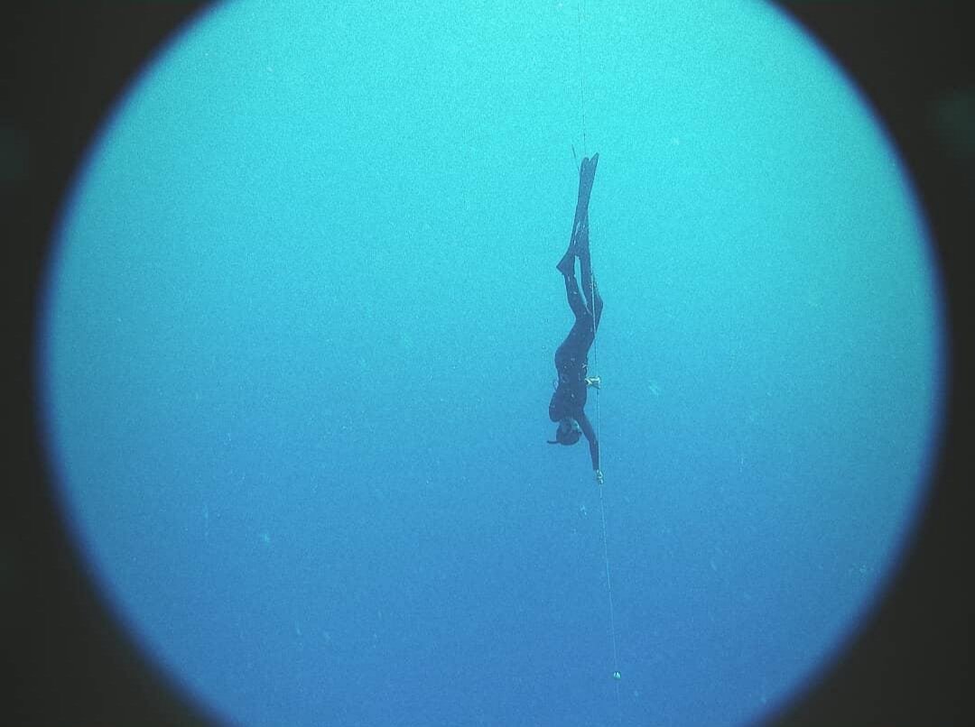 “Мой мир должен быть таким, как это море - мирным, честным, искренним, открытым.”
