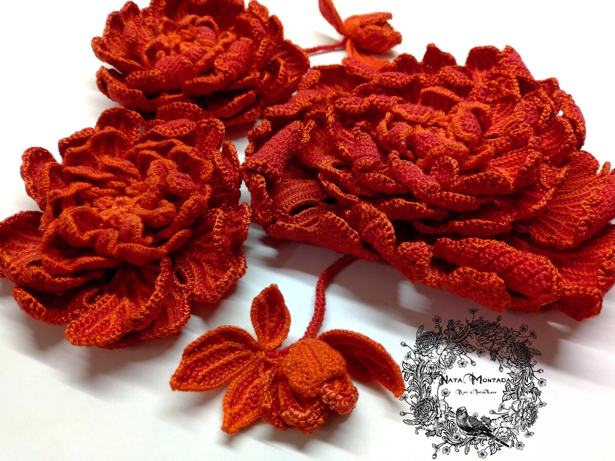 Авторские пионы "Друг Сердечный" 