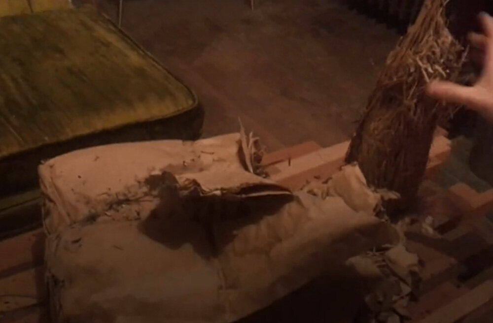 Изображение с сайта https://www.bbc.com/russian.