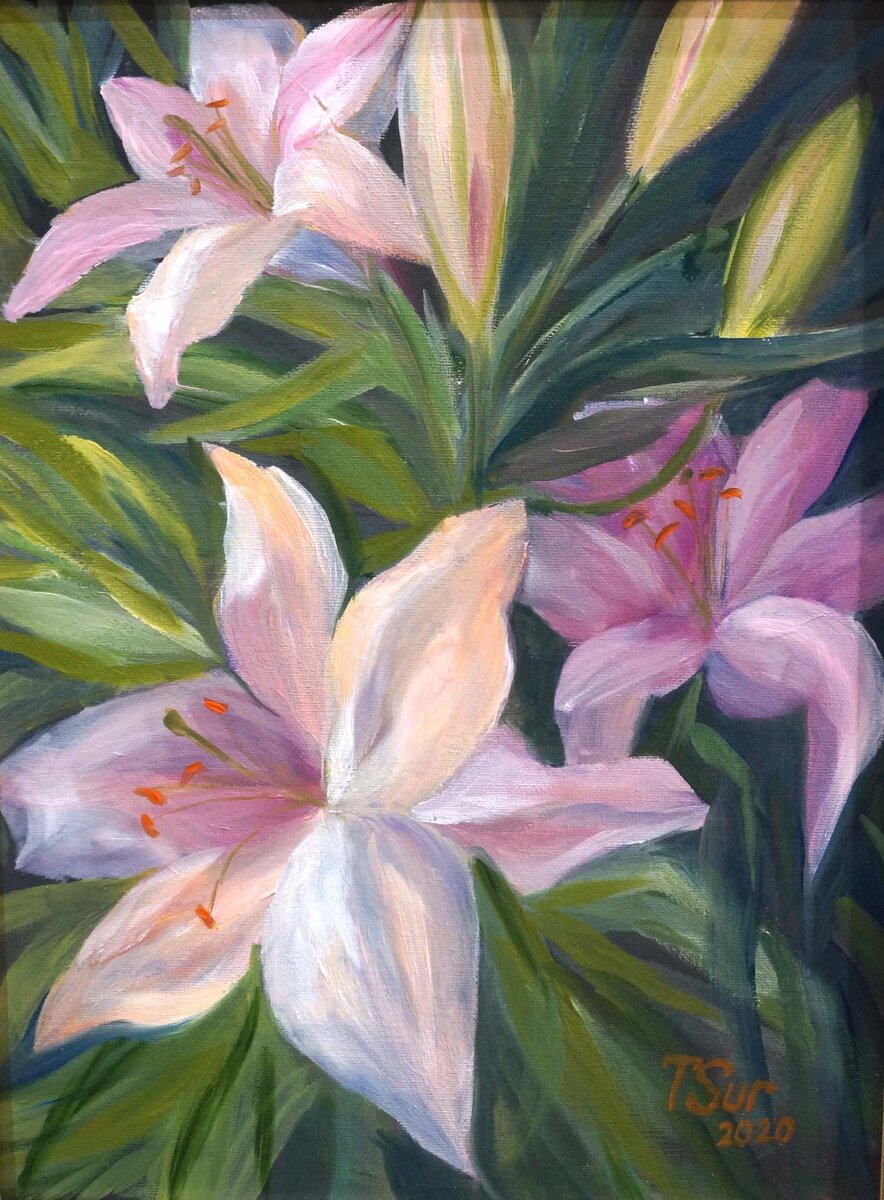  Татьяна Суровцева Лилии в саду 30х40 хкм  2020 г  