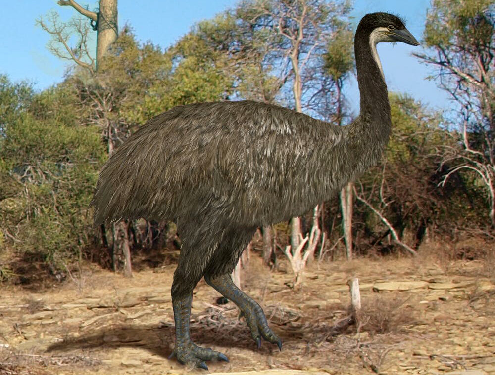 Источник фото: theconversation.com